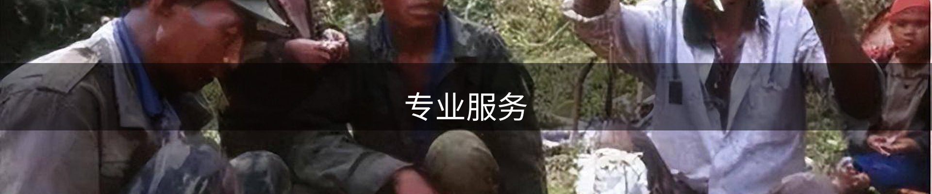专业服务